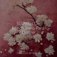 50 Pistas De Mindfulness Para Dormir