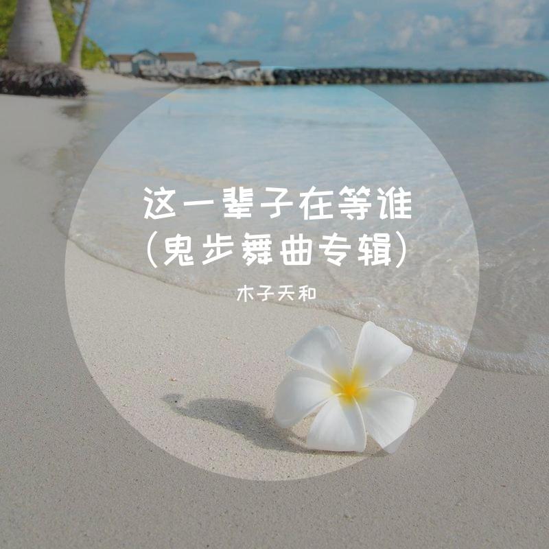 这一辈子在等谁（吉特巴舞曲）封面