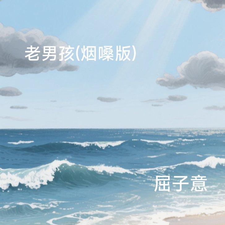 老男孩(烟嗓版)封面
