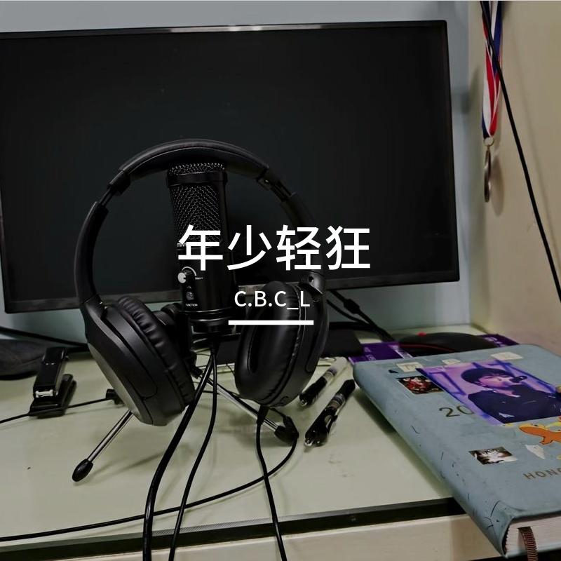 年少轻狂封面