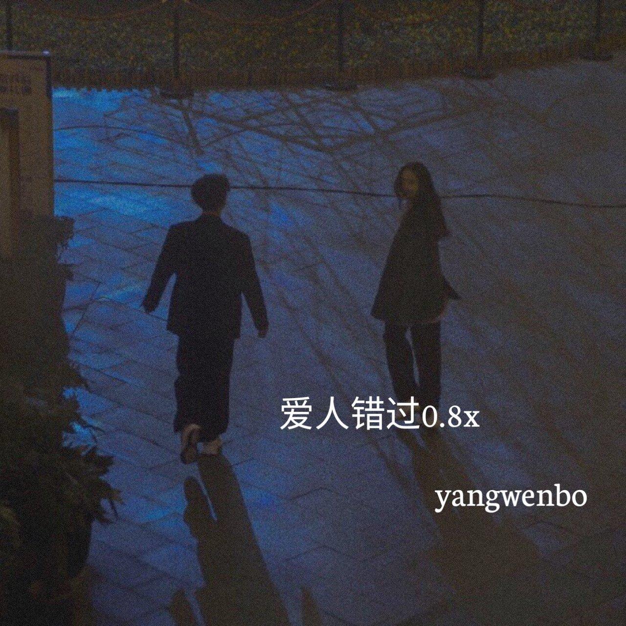 爱人错过0.8x - 杨文博封面
