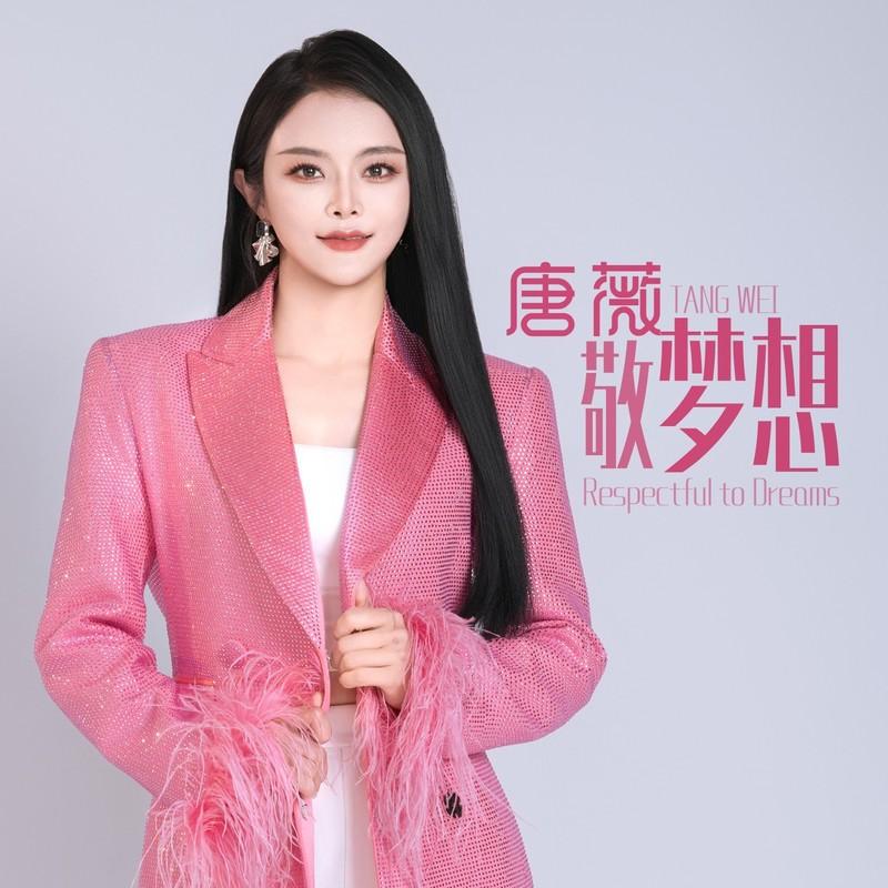 敬梦想 (DJ版)封面
