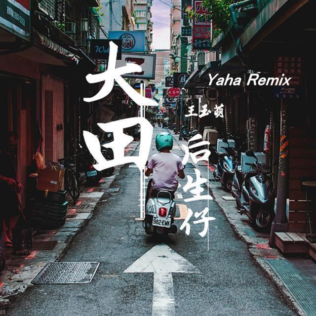 王玉萌-大田后生仔（抖音DJ咚鼓版）（DjYaha Remix）