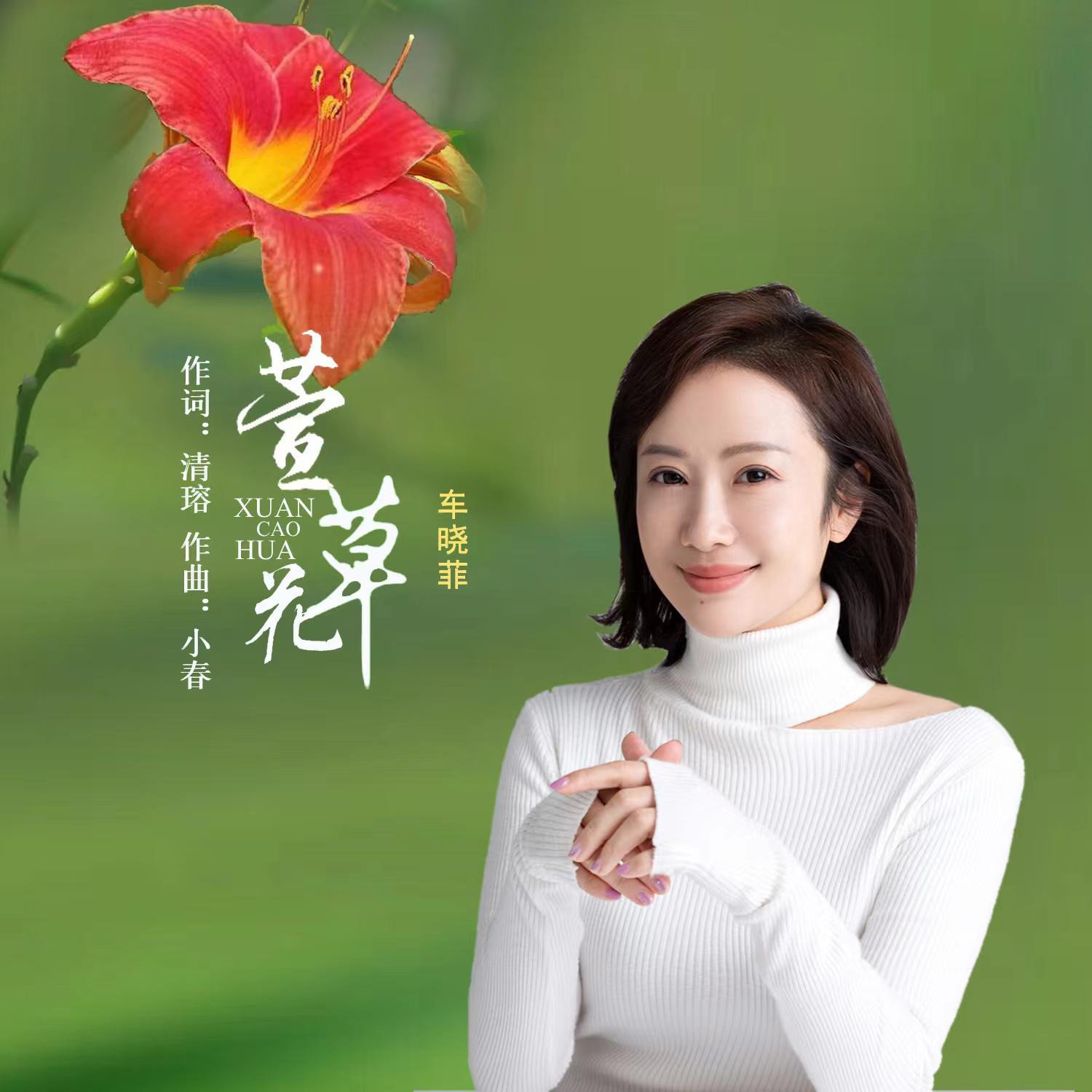 萱草花 (伴奏)封面