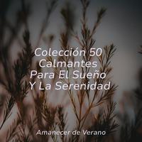 Colección 50 Calmantes Para El Sueño Y La Serenidad