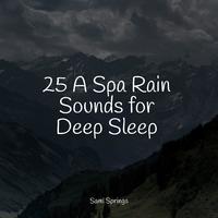 25 A Spa Rain Sounds for Deep Sleep