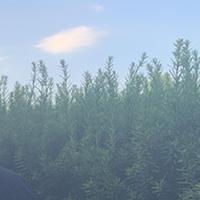 Urka资料,Urka最新歌曲,UrkaMV视频,Urka音乐专辑,Urka好听的歌