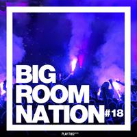 Big Room Nation, Vol. 18