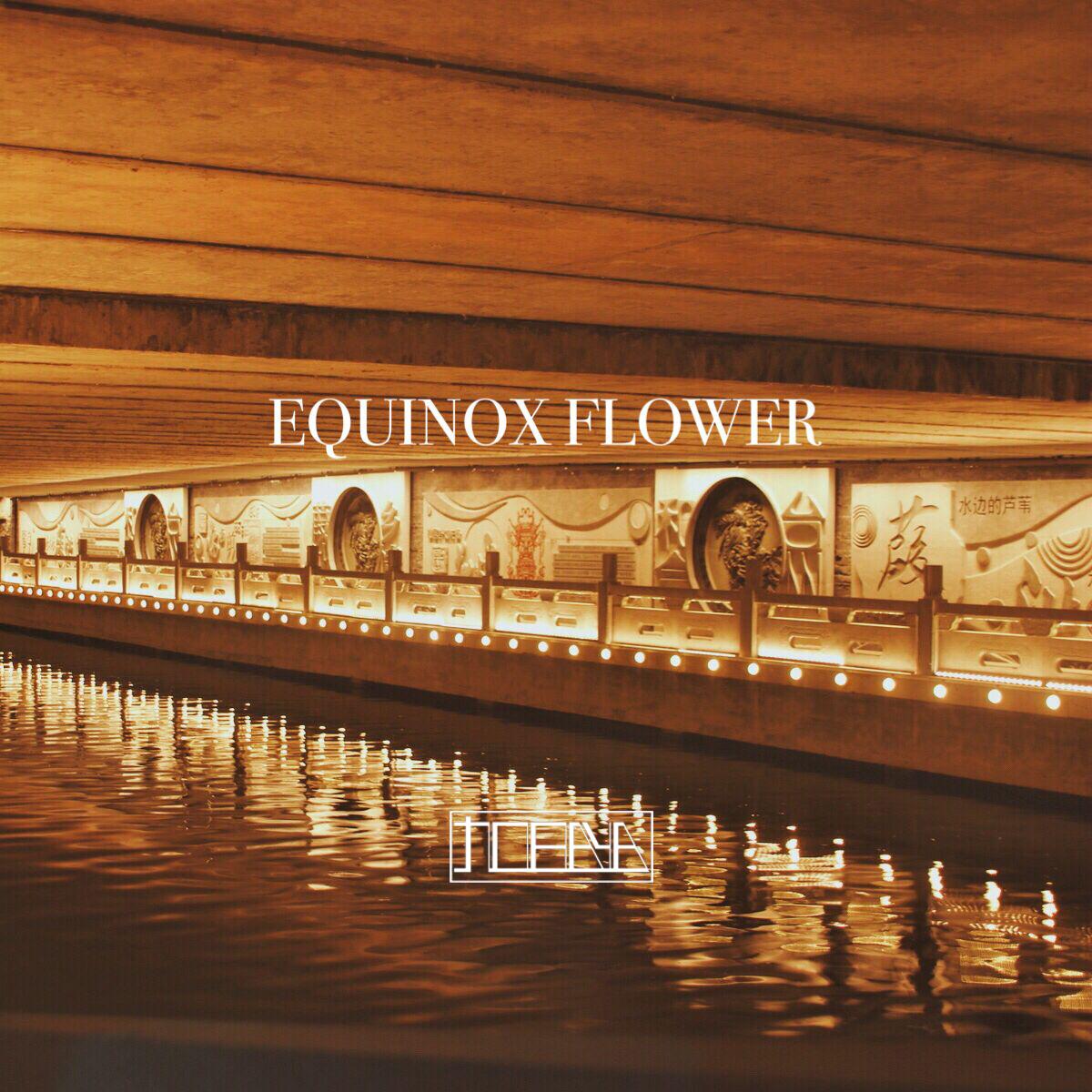 equinox flower