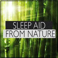 Sleep Aid from Nature