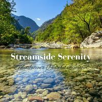 Streamside Serenity: Meditation's Peaceful Insights