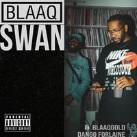 BlaaqSwan Pt. 1 (feat. BlaaqGold)