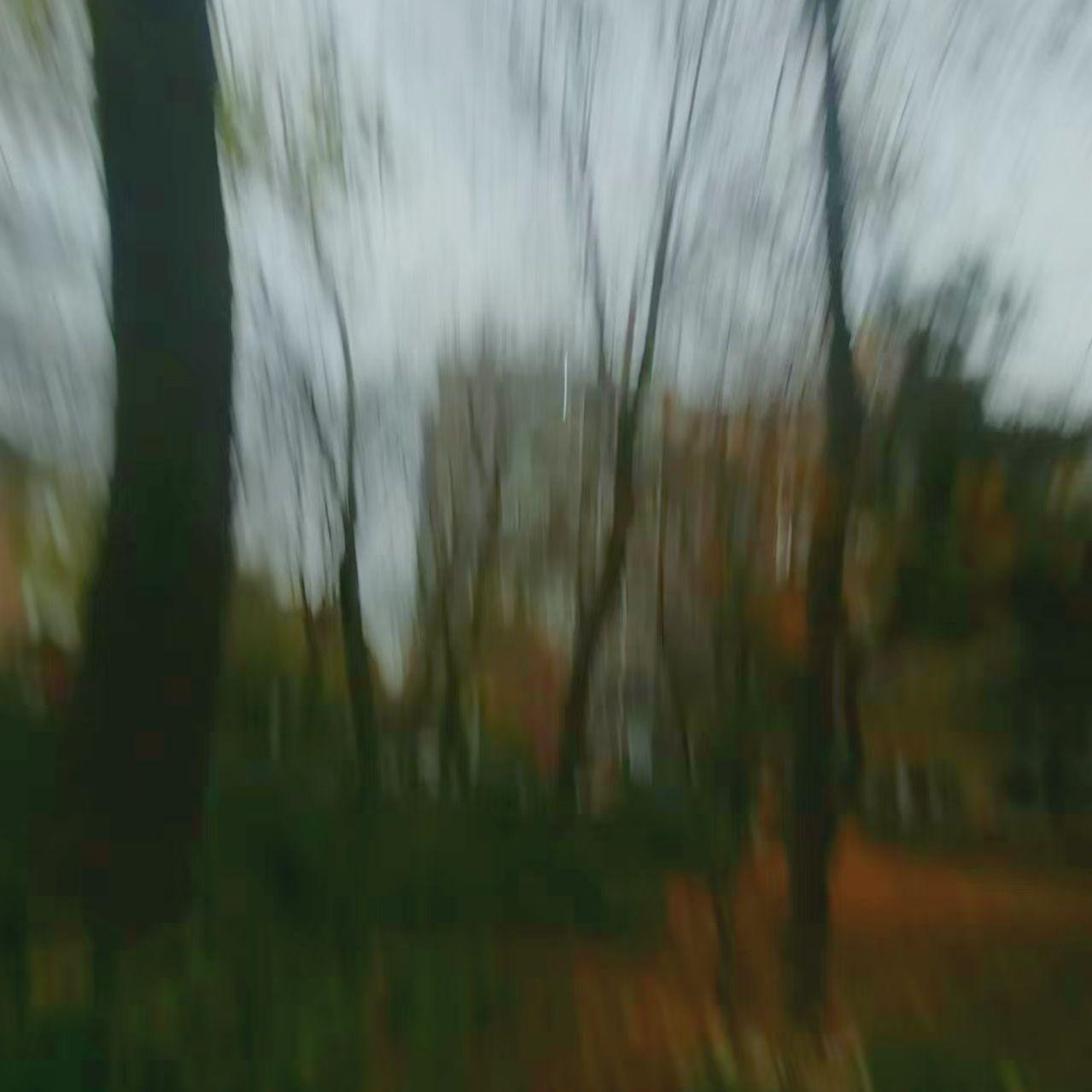 十一月底的傍晚端着相机在楼下小花园遛弯