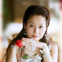 刘春红资料,刘春红最新歌曲,刘春红MV视频,刘春红音乐专辑,刘春红好听的歌