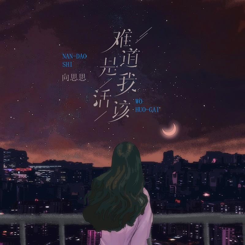 难道是我活该 (伴奏) - 向思思封面