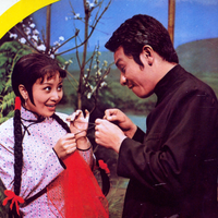 春满玉兰溪