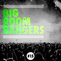 Big Room Bangers, Vol. 15