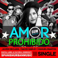 Amor Prohibido (feat. Javier Declara & David Marley)