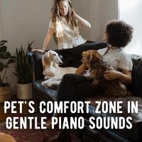 Pet's Comfort Zone in Gentle Piano Sounds