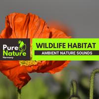 Wildlife Habitat - Ambient Nature Sounds