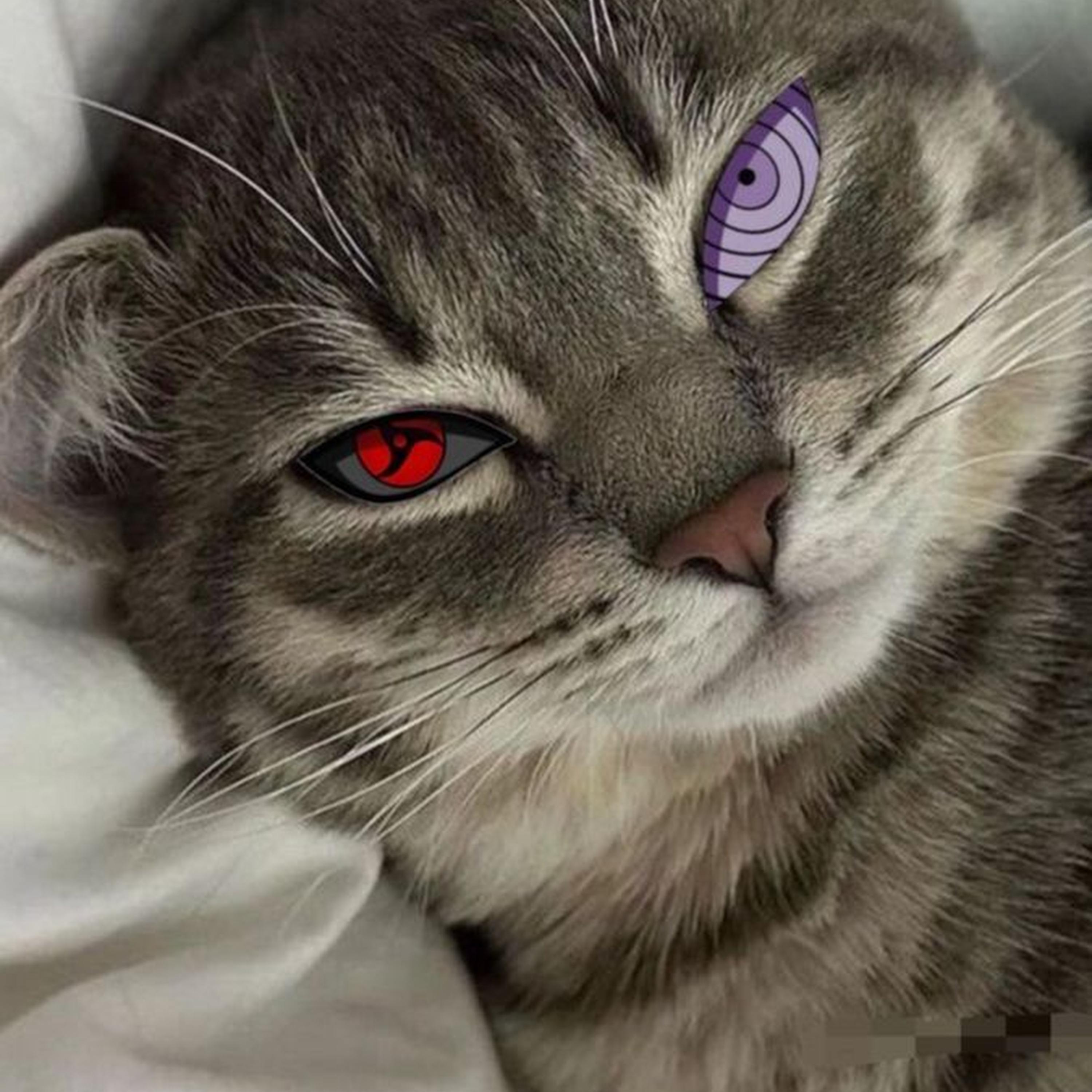 washing machine heart