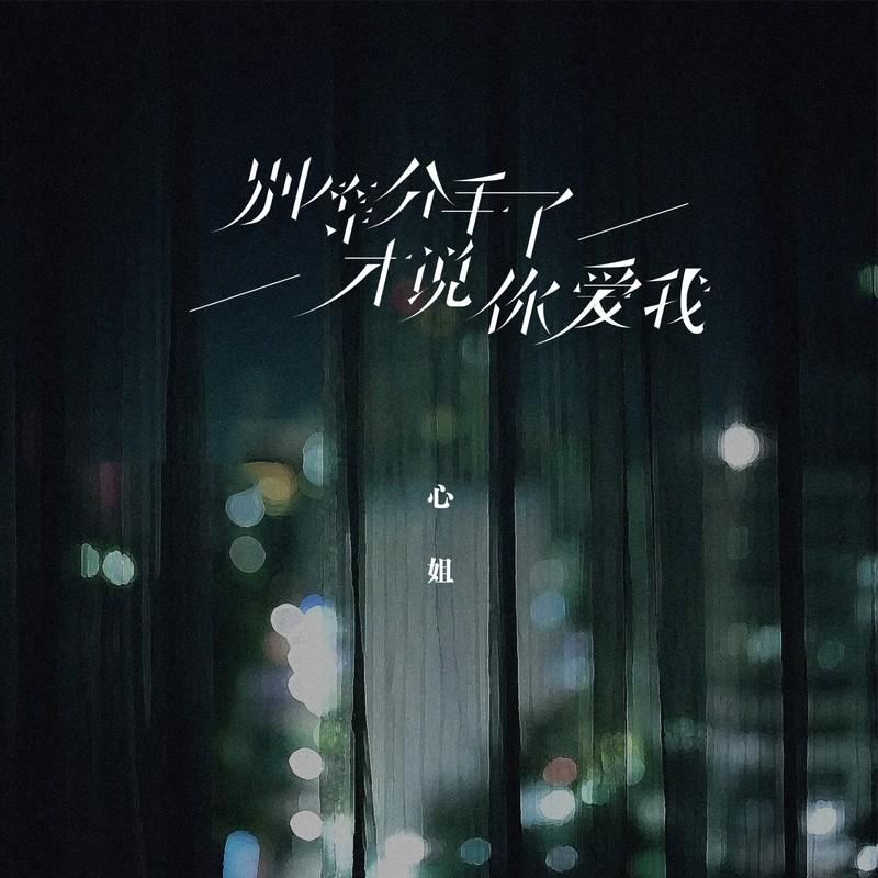 别等分手了才说你爱我 (伴奏)封面