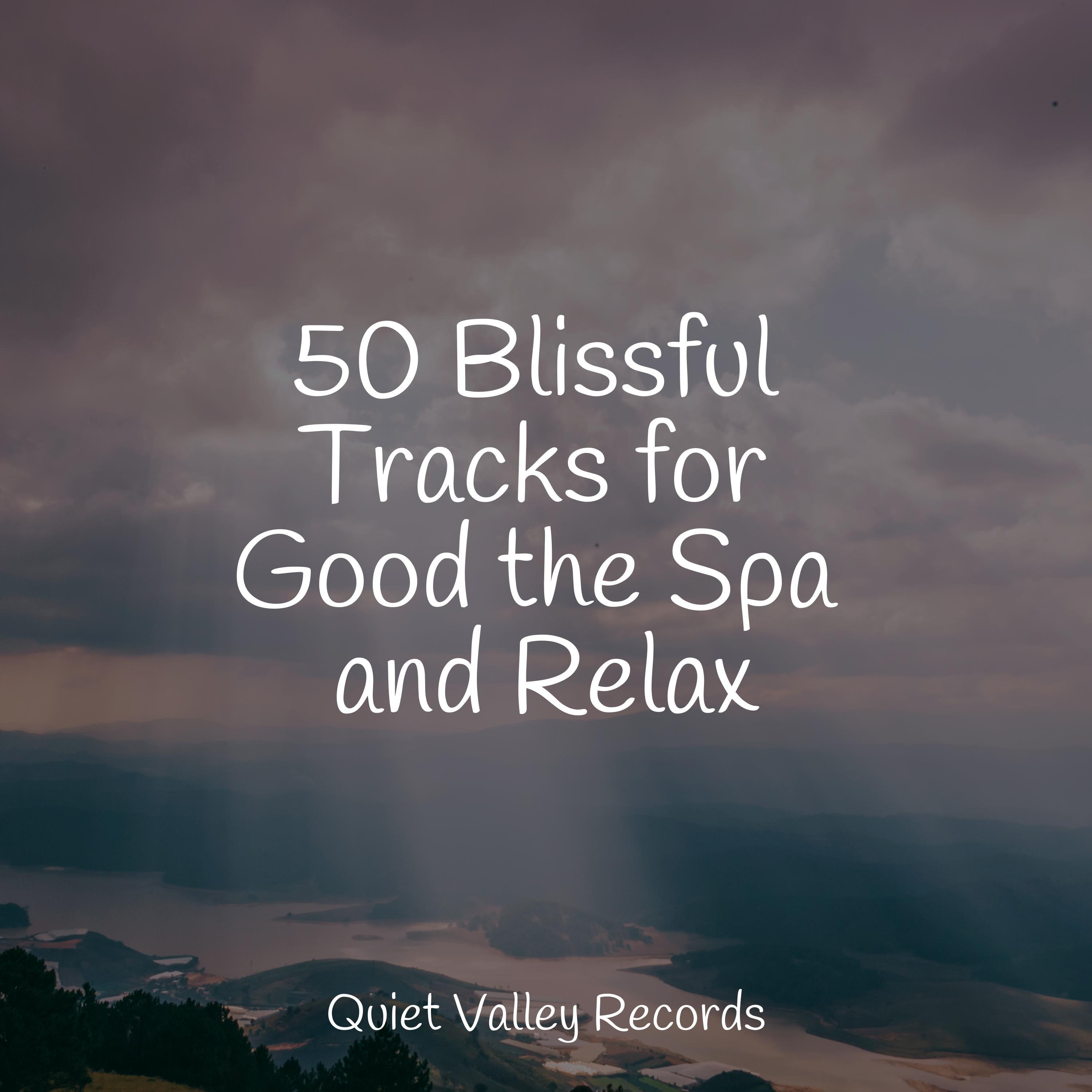 Blissful Tracks For Good The Spa And Relax Sleep Sound Of Nature