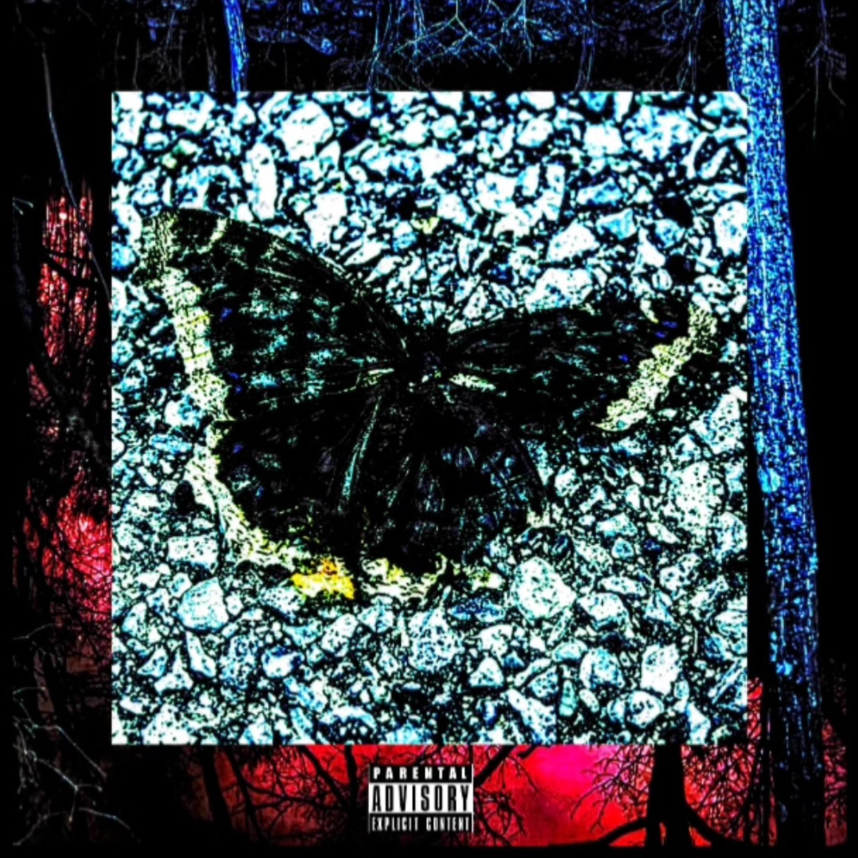 BUTTERFLY (Prod. H0770W)