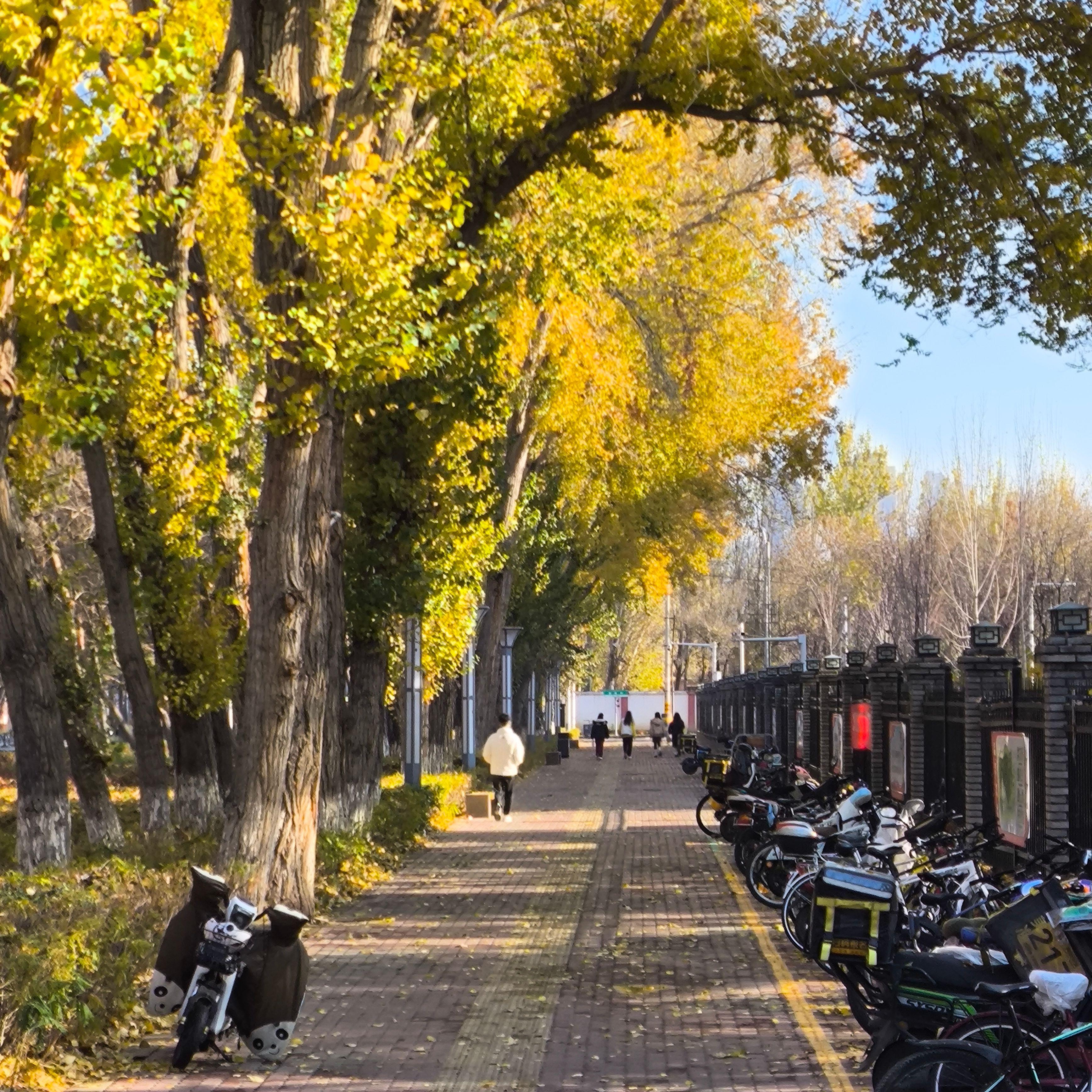 yatta xa bayan原创