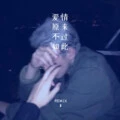 爱人你的眸好敷衍 (Remix) - 六月、枫宇辰、苏可可封面