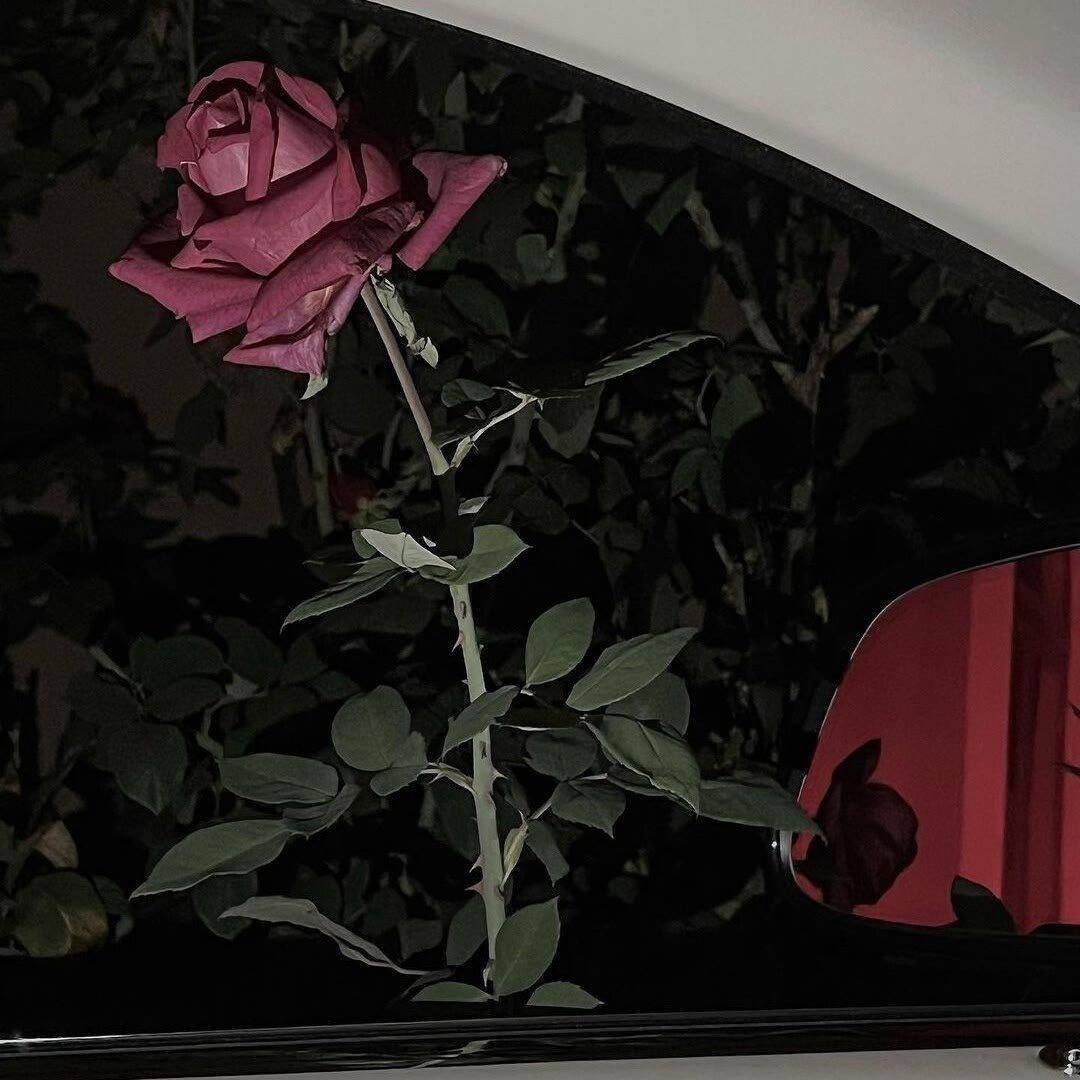 Shirfine-Illusionary Daytime（像冷冰 / 再难到从前 remix）