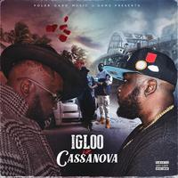 Igloo Vz Cassanova