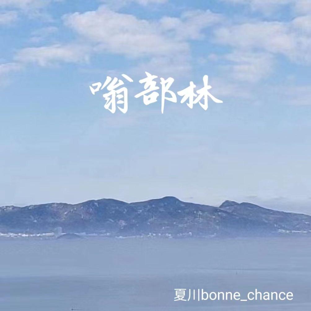 一个人弹琴封面