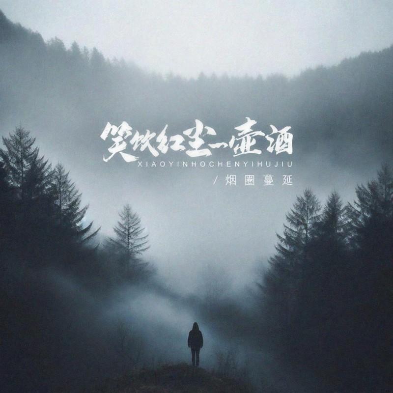笑饮红尘一壶酒封面