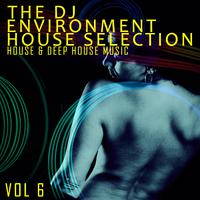 The DJ Environment: House Selection, Vol. 6