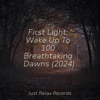 First Light: Wake Up To 100 Breathtaking Dawns (2024)