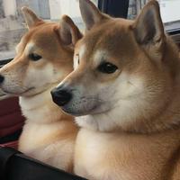 街道办资料,街道办最新歌曲,街道办MV视频,街道办音乐专辑,街道办好听的歌