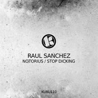 Notorius / Stop Dicking