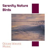 Serenity Nature Birds - Ocean Waves Music