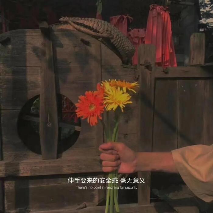 我以为(女声版)_封面
