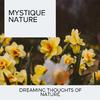 Divine Stream Nature Music - Night Swamps Water Noise