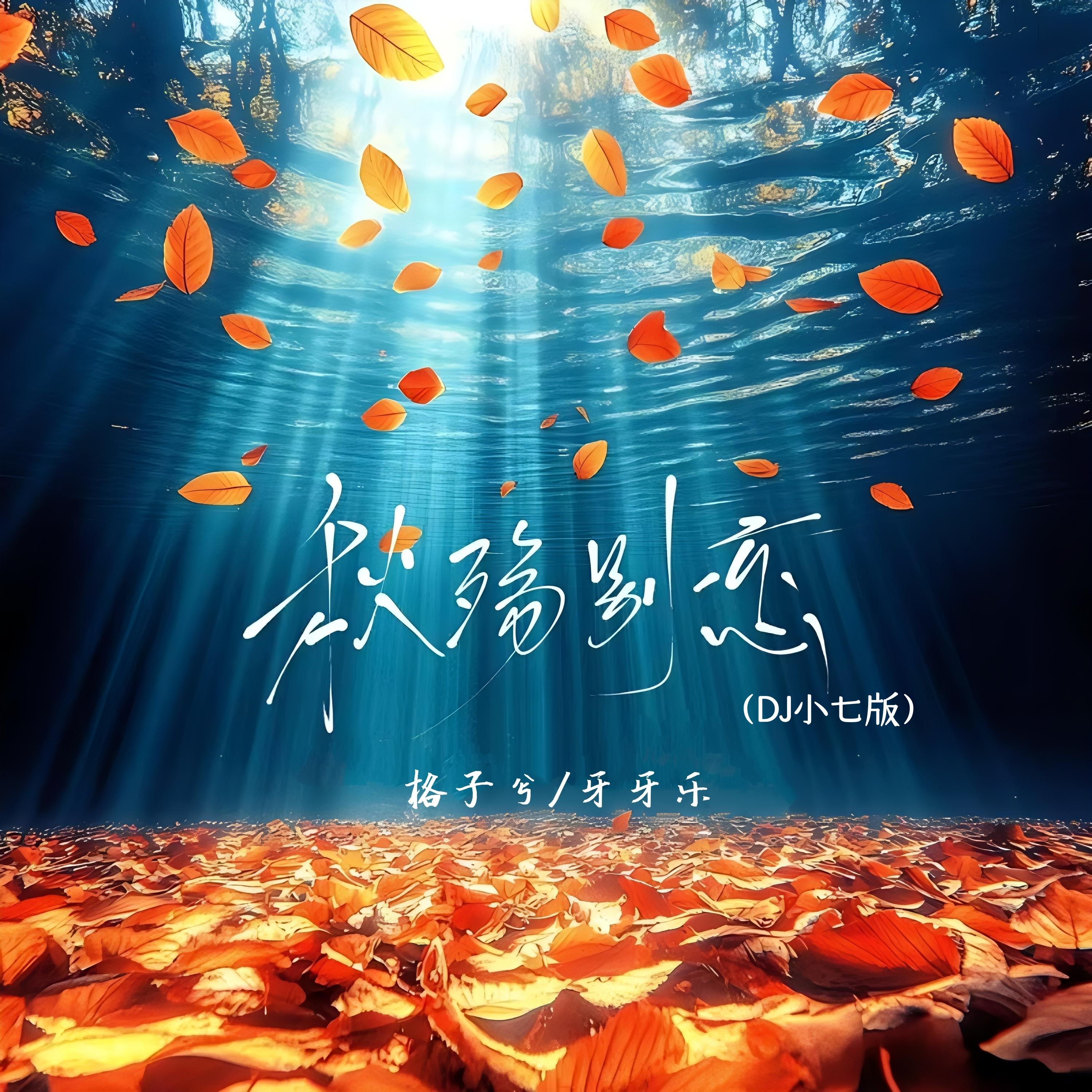 秋殇别恋 (Dj小七版伴奏)封面