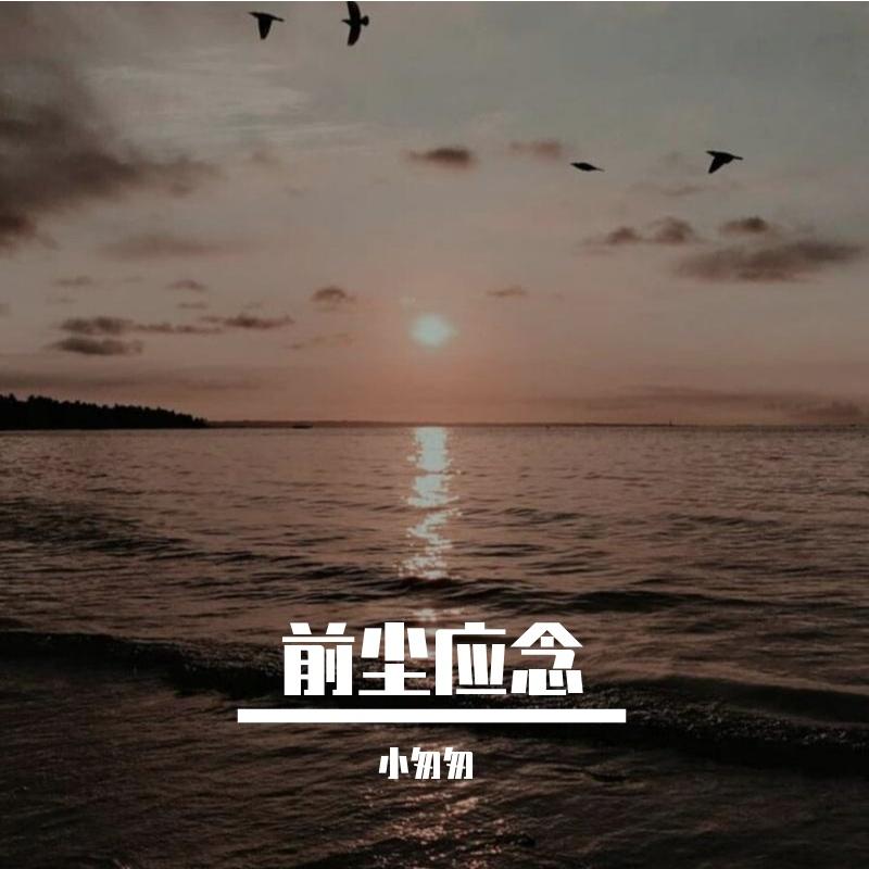 前尘应念(完整女版)封面