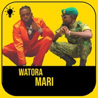 Watora Mari (feat. Diamond platnumz & Jay prayzah)