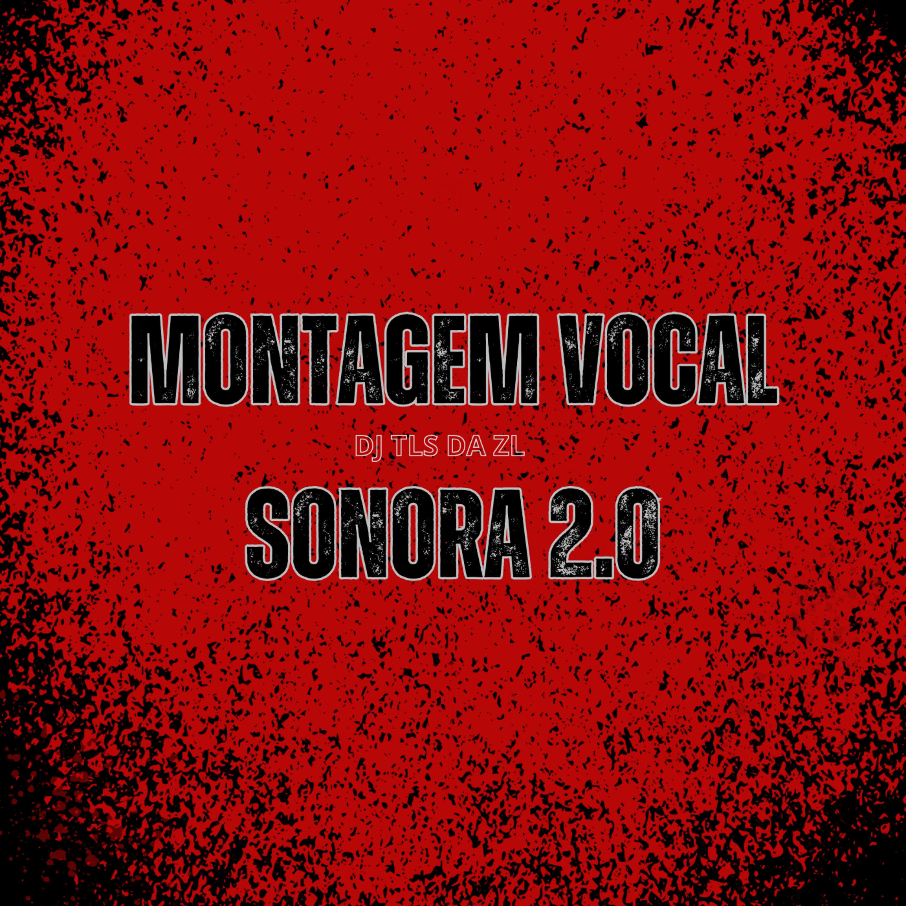 Montagem Vocal Sonora 2.0