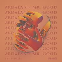 Mr. Good (The Martin Brothers Remix)