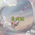 请帮我爱他封面