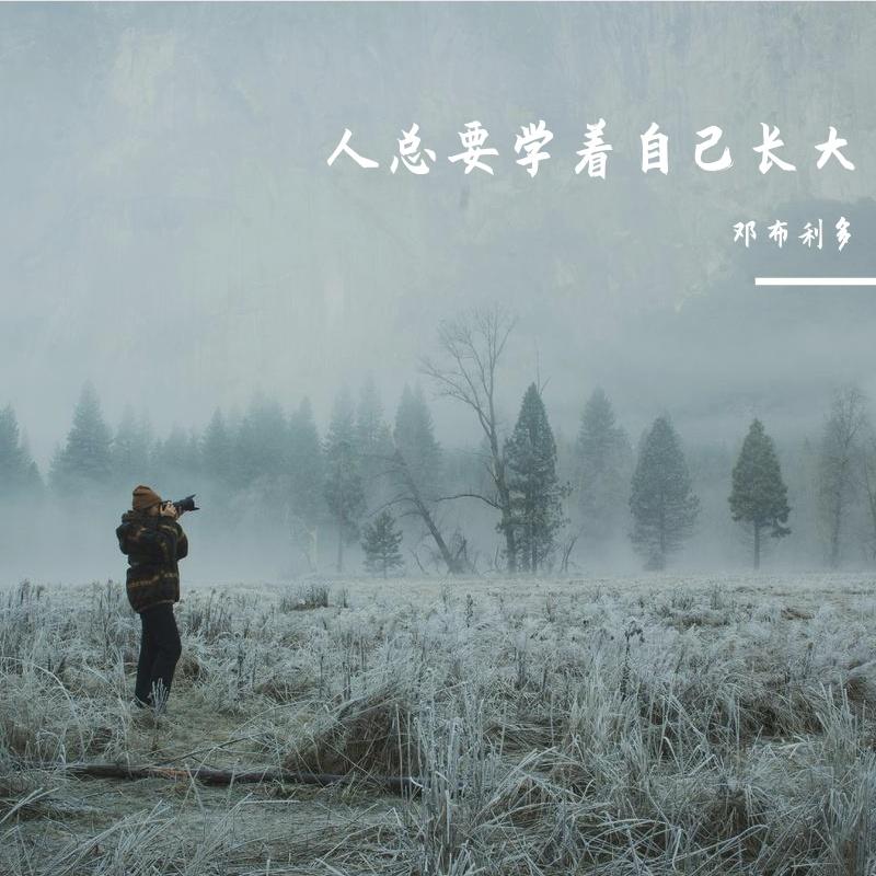 爱的代价封面