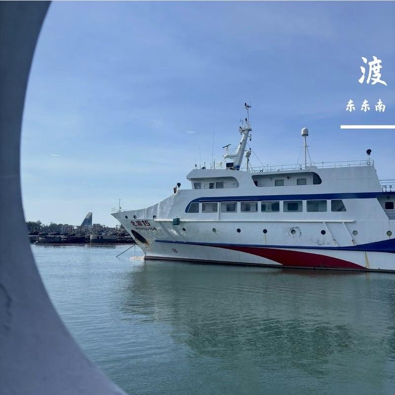 你的心可以飞跃高墙 - 东东南封面
