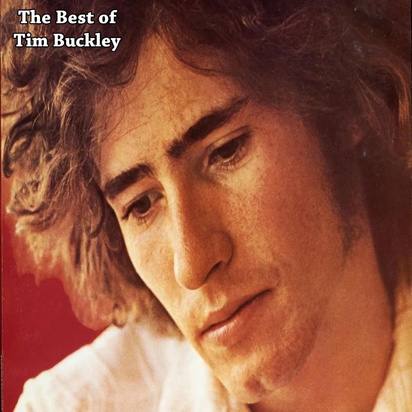 Phantasmagoria In Two